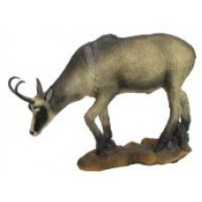 SRT Summer Chamois Grazing :  ST84